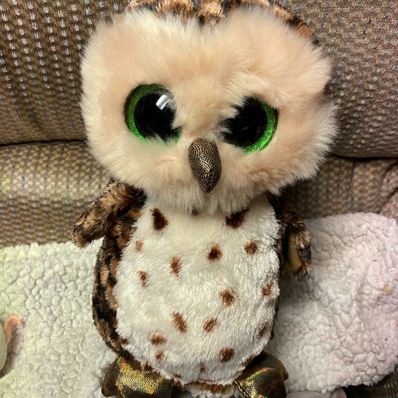 Sammy ~ beanie boo🦉 - Picture 1 of 5